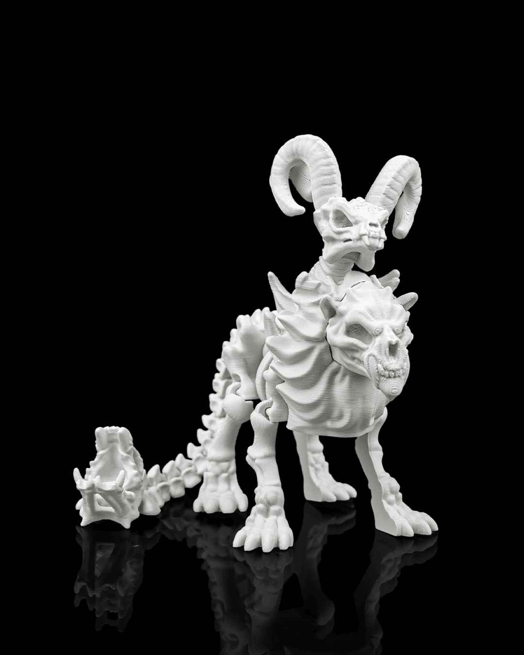 Skeletal Chimera